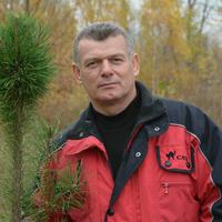 Отзыв от Игорь - DTV виза